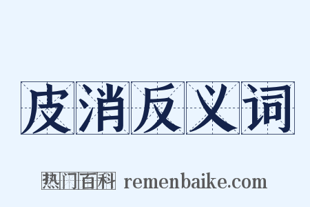 皮消反义词是什么意思的图片